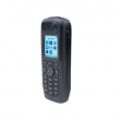 Avaya DECT 3745 HANDSET 700510284 - RuvayaPro - Официальный поставщик RuVaya в России