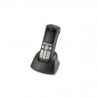 Avaya DECT 3725 HANDSET 700466139 - RuvayaPro - Официальный поставщик RuVaya в России