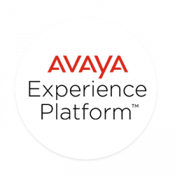 Программа пробного использования платформы Avaya Experience Platform - RuvayaPro - Официальный поставщик RuVaya в России