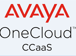 Общедоступное решение OneCloud CCaaS - Avaya обеспечивает улучшенную коммуникацию - RuvayaPro - Официальный поставщик RuVaya в России